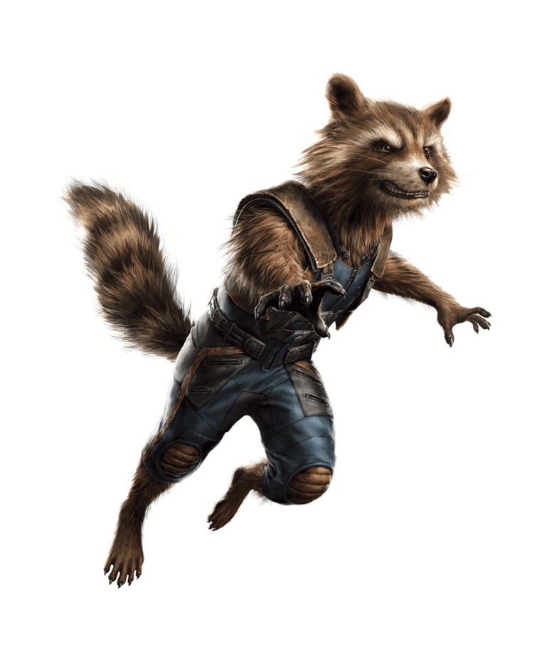 The Avengers 4 Rocket Raccoon