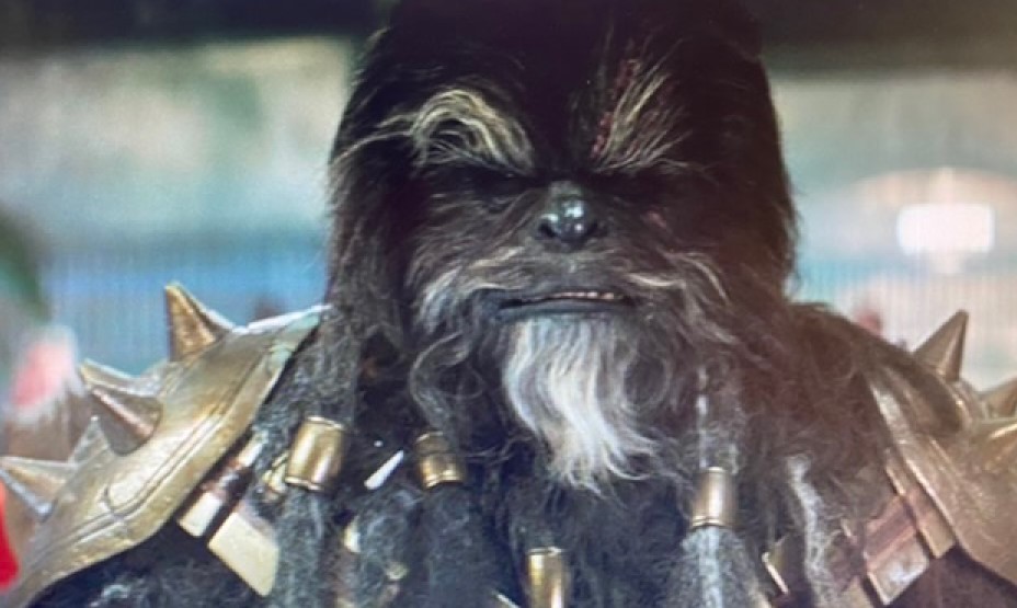 Black Wookie Boba Fett Star Wars