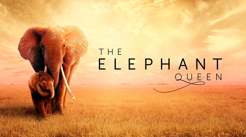 Elephant Queen Apple TV Plus