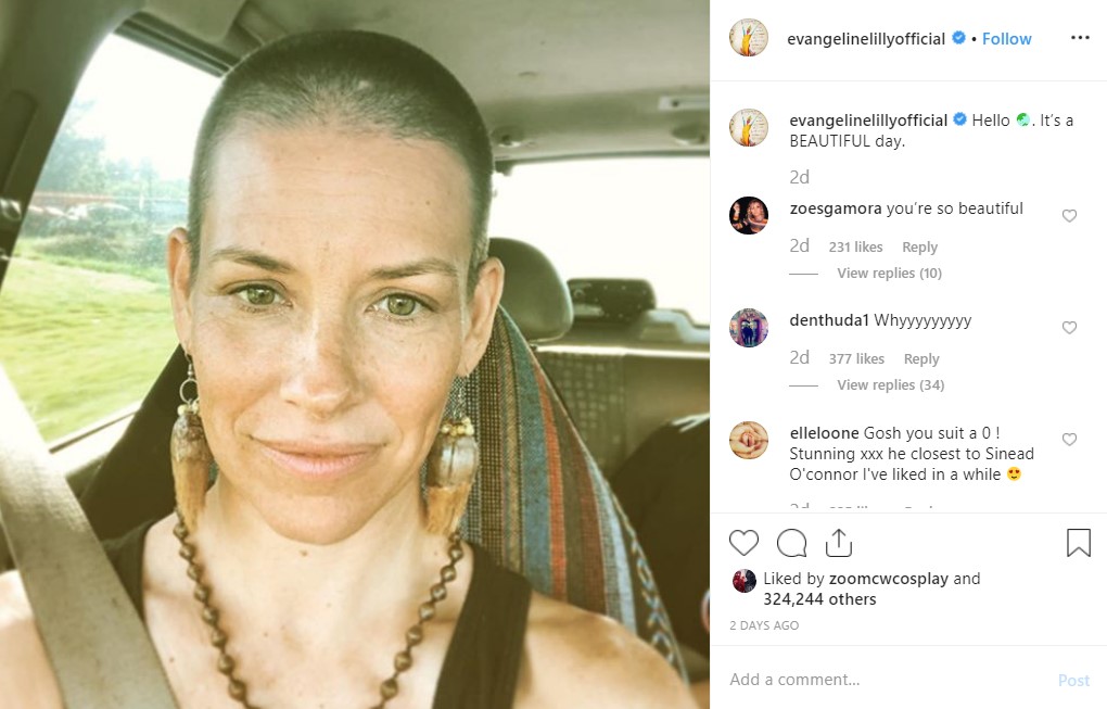 Evangeline Lilly shaved head