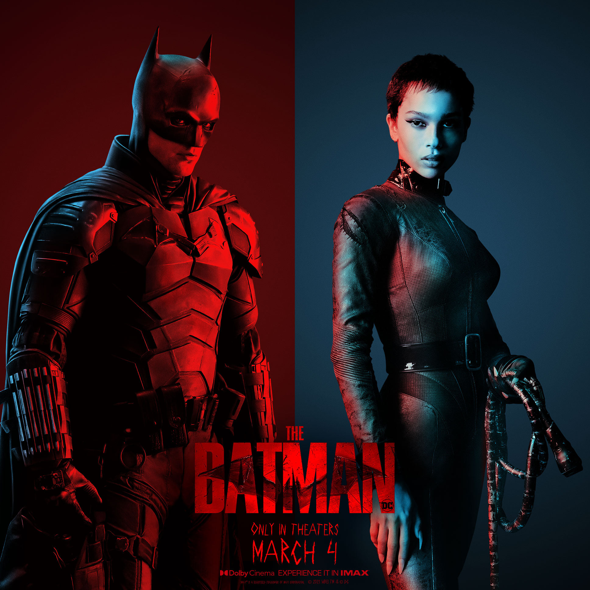The Batman bat cat poster