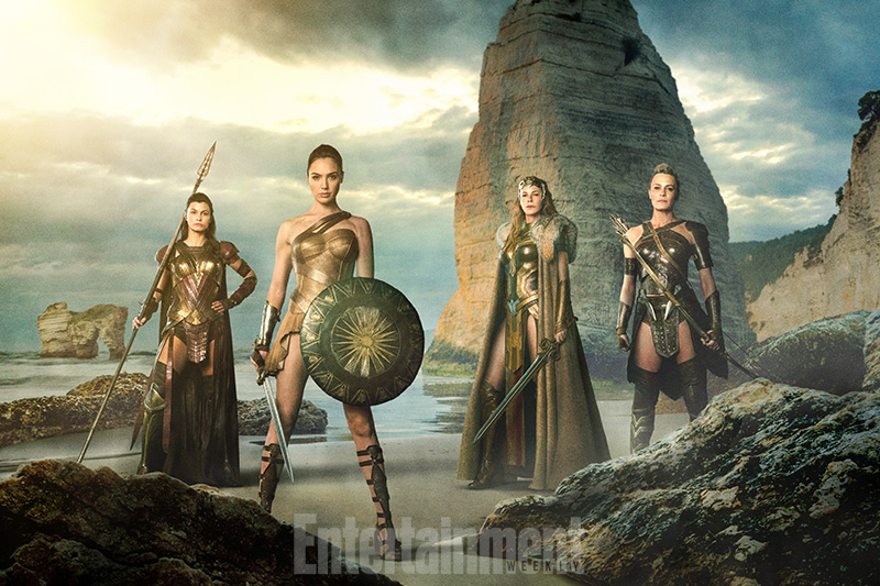 wonder woman image fl