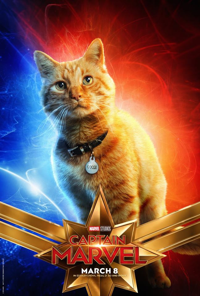 Captain Marvel cat