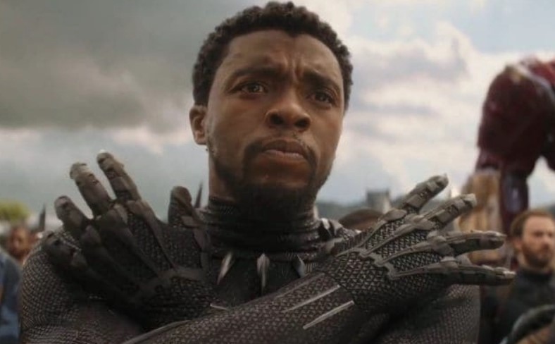 Chadwick Boseman Black Panther Avengers Endgame