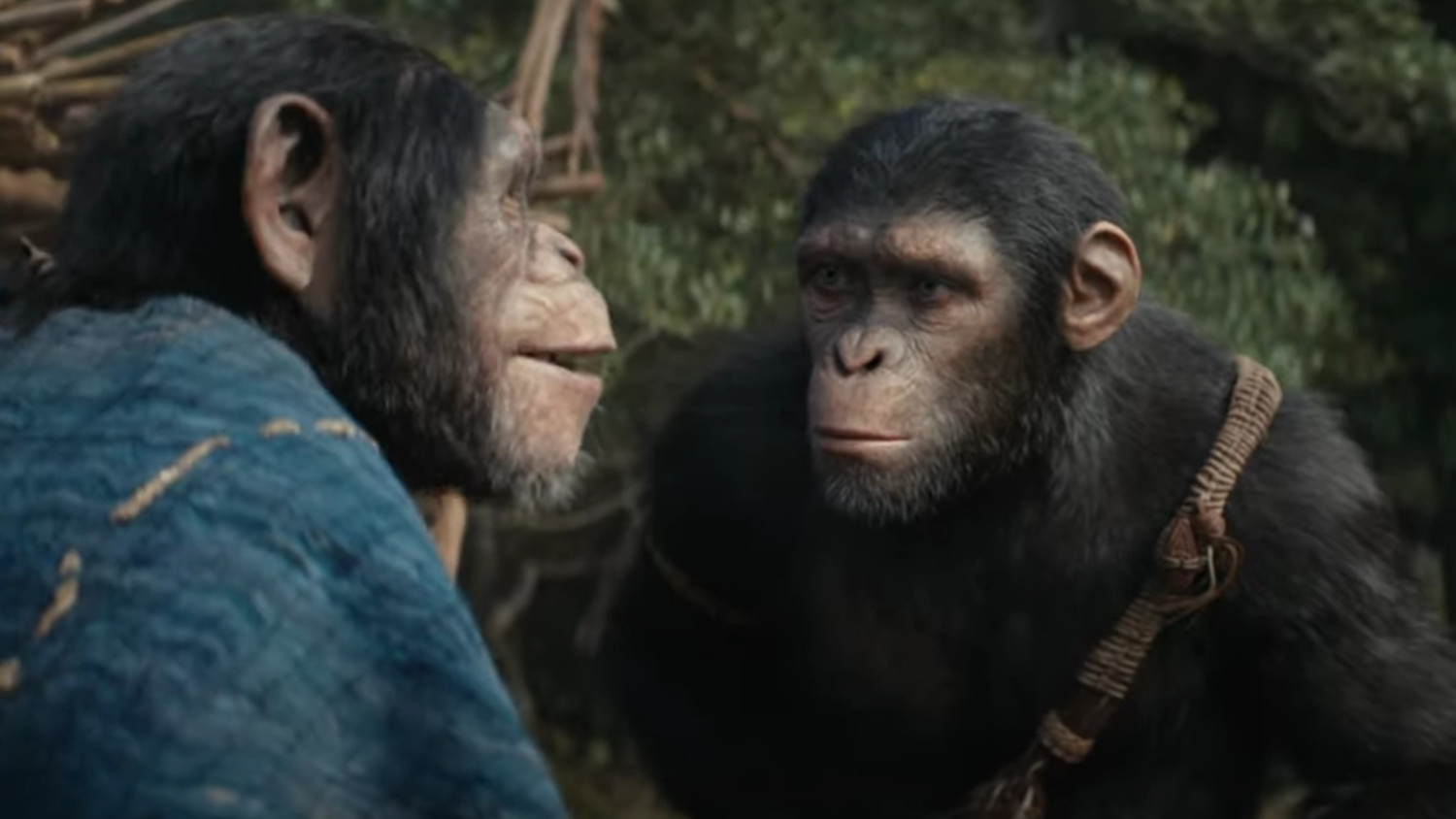 ‘Kingdom of the Planet of the Apes’ Final Trailer Is Here With Cool Marketing
