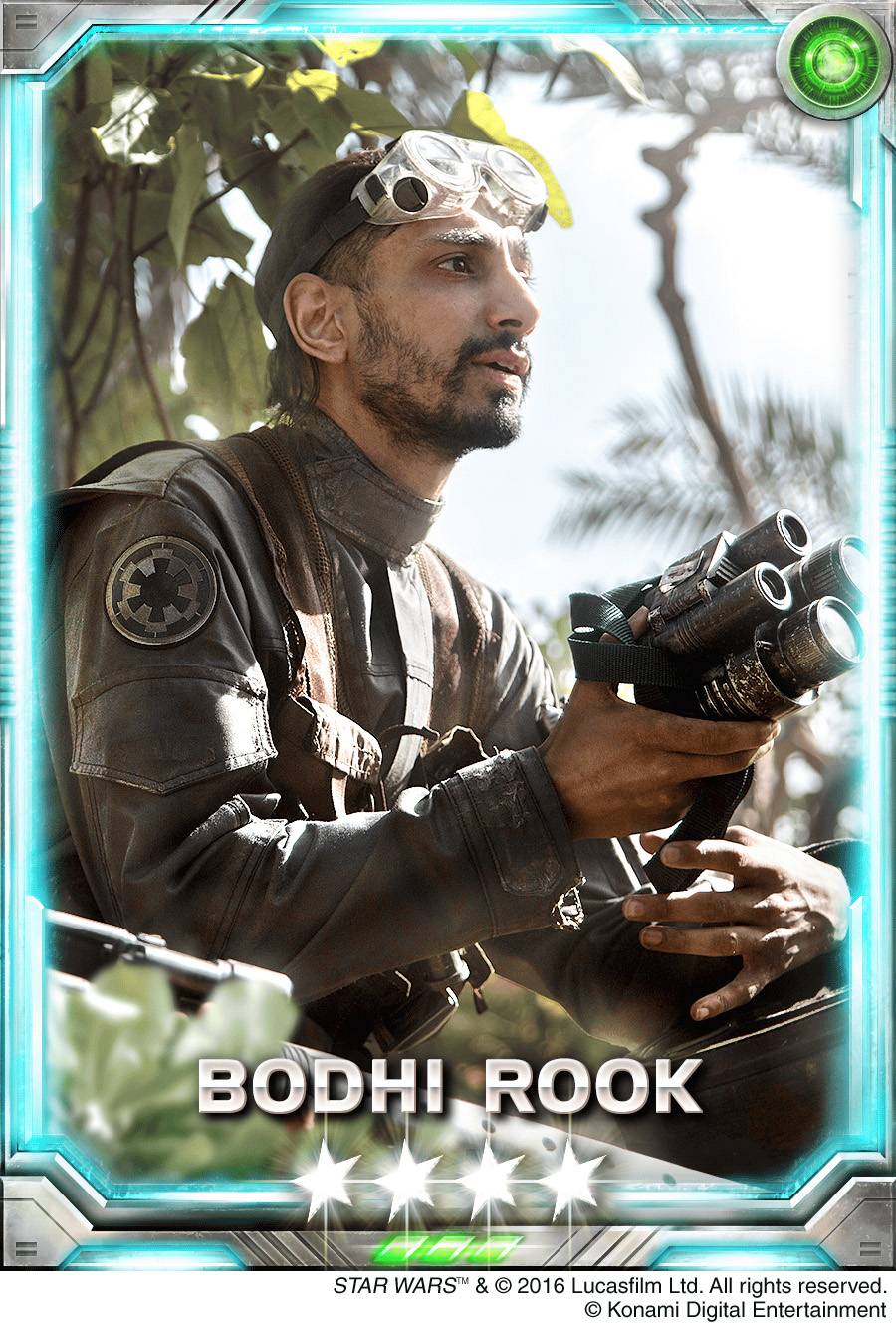 SWFC Bodhi Rook TM