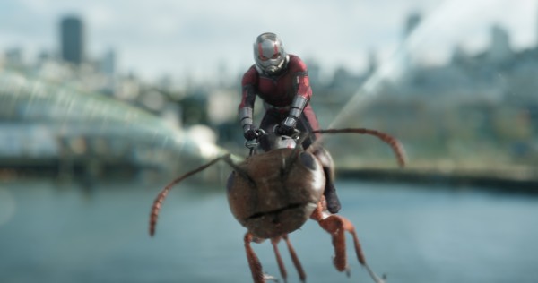 Ant-Man and the Wasp