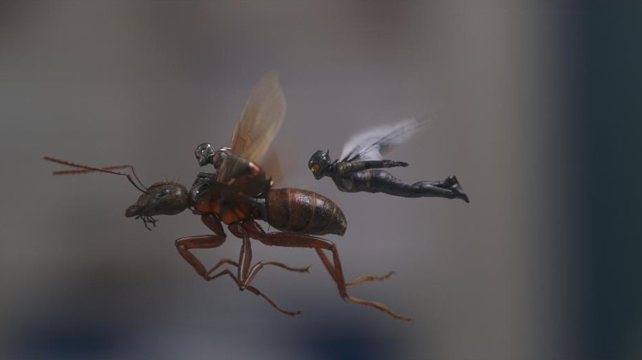 Ant-Man and Wasp