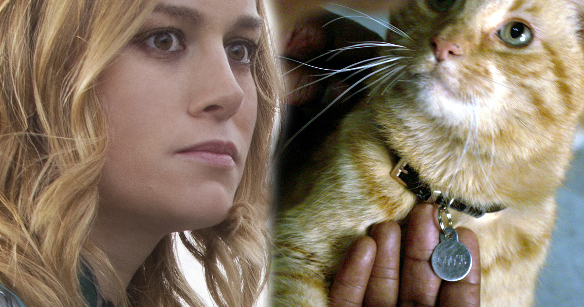 Captain Marvel's Brie Larson Is Allergic To Cats | Cosmic Book News