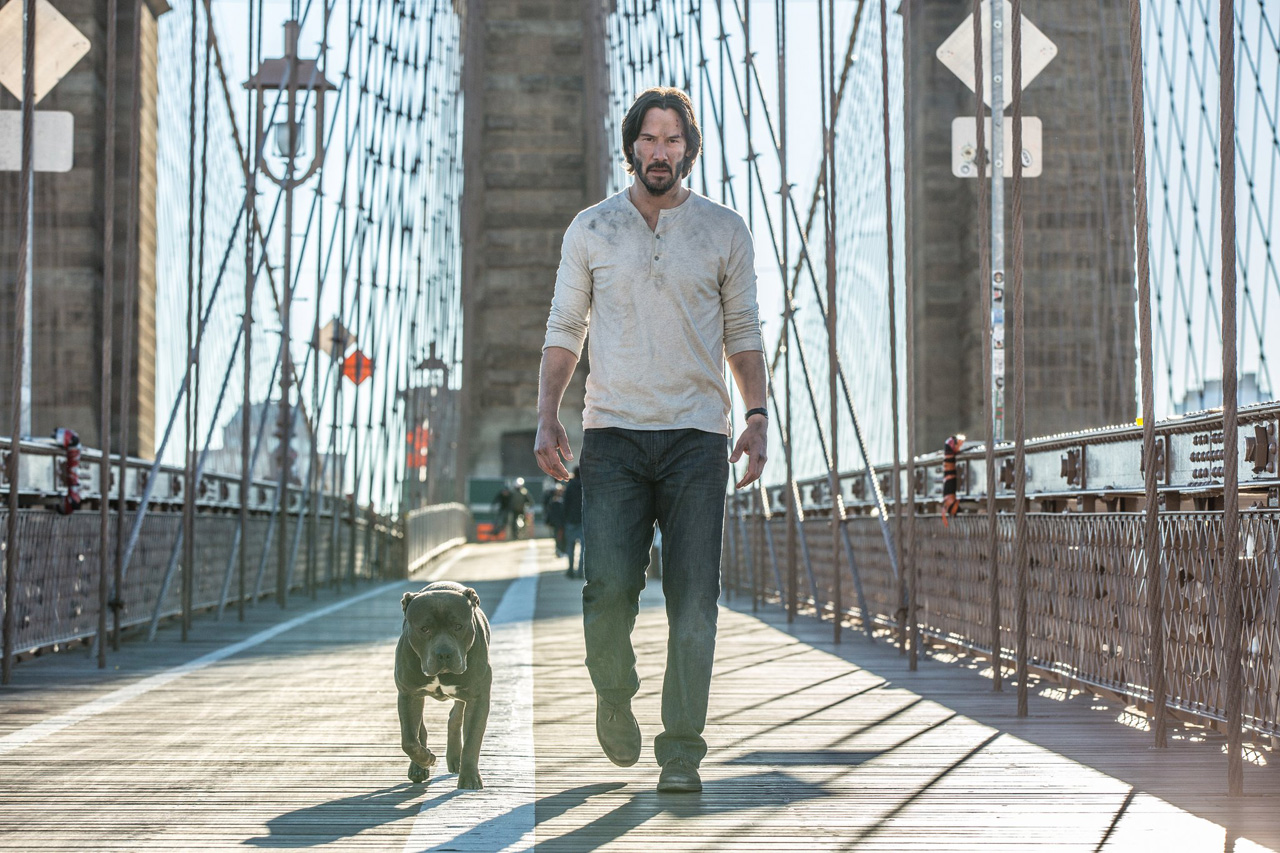 john wick 2 dog