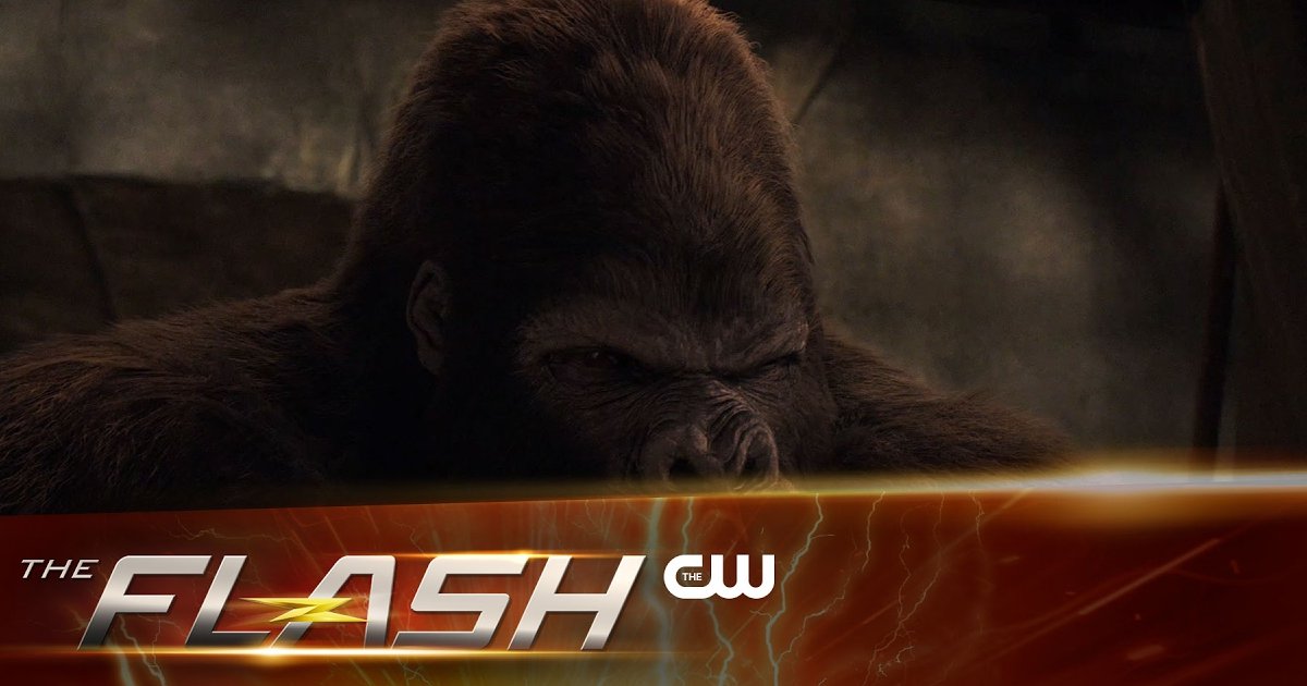 watch grodd flash gorilla city extended trailer Watch Grodd In The Flash "Attack On Gorilla City" Extended Trailer