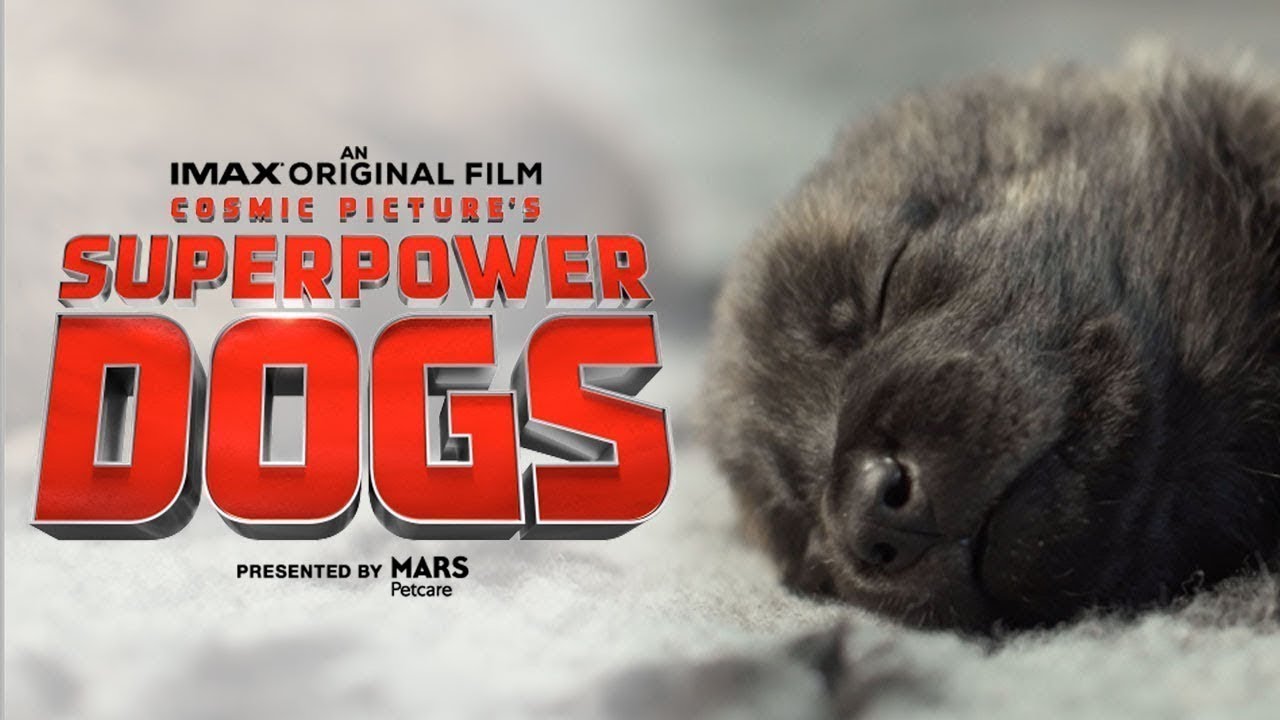Superpower Dogs Official Trailer