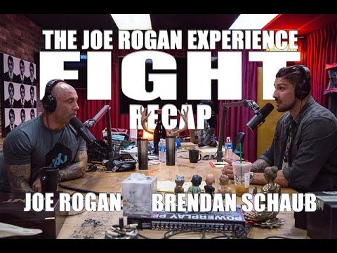 Joe Rogan Experience - Mayweather vs. McGregor Recap with Brendan Schaub