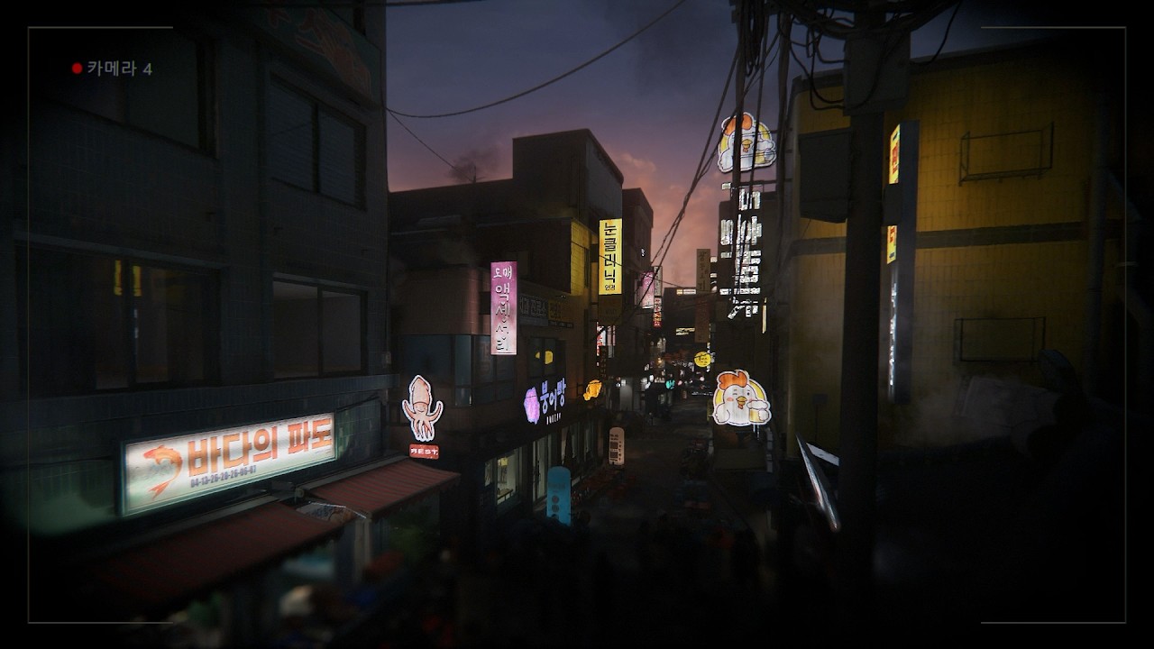카메라 004 | LIVE