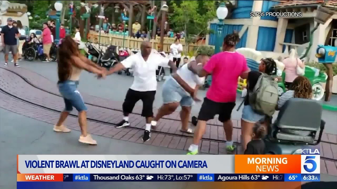 Viral Video Shows Fight at Disneyland
