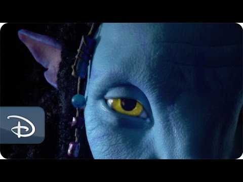 Behind The Scenes: Pandora - The World of Avatar | Disney's Animal Kingdom