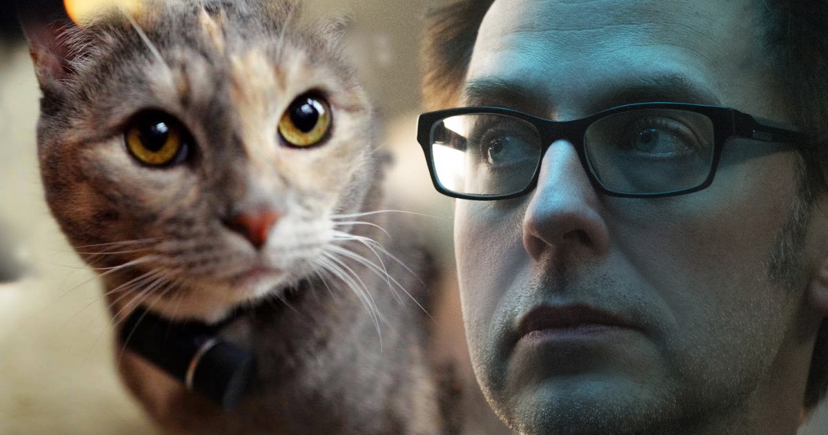 Captain America Fan Hopes James Gunn’s Cat Gets Thrown Into Wood Chipper