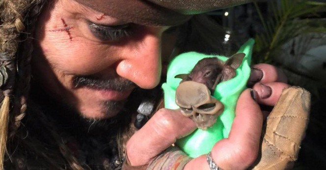 Watch Johnny Depp Feed Baby Bat As Jack Sparrow