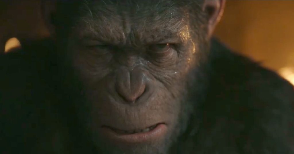 war-apes-spots