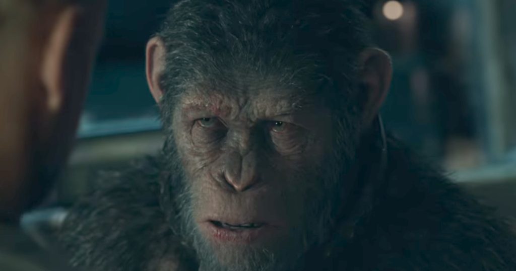 war-begun-apes