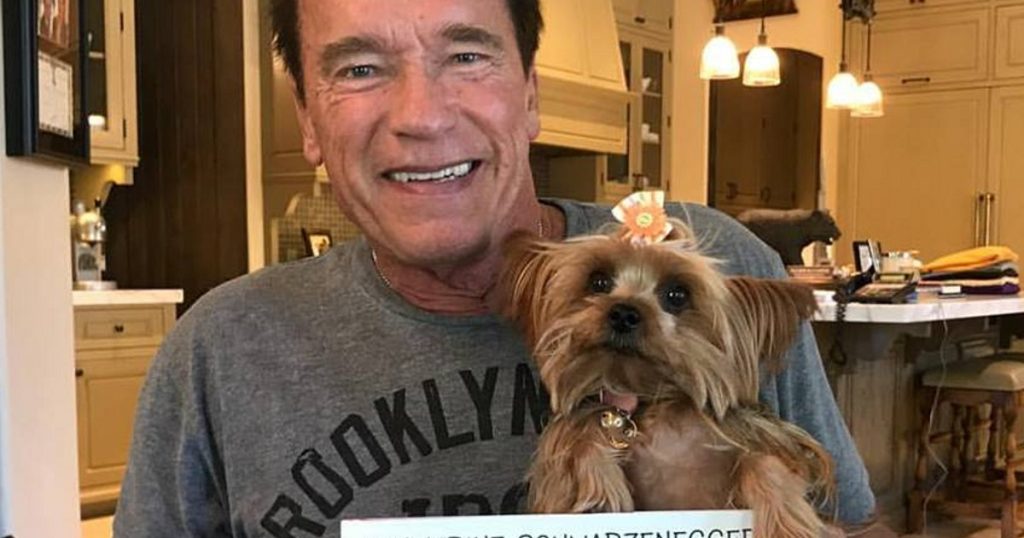 Arnold Schwarzenegger In The Hospital