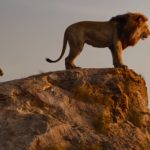 lion-king-trailer-full