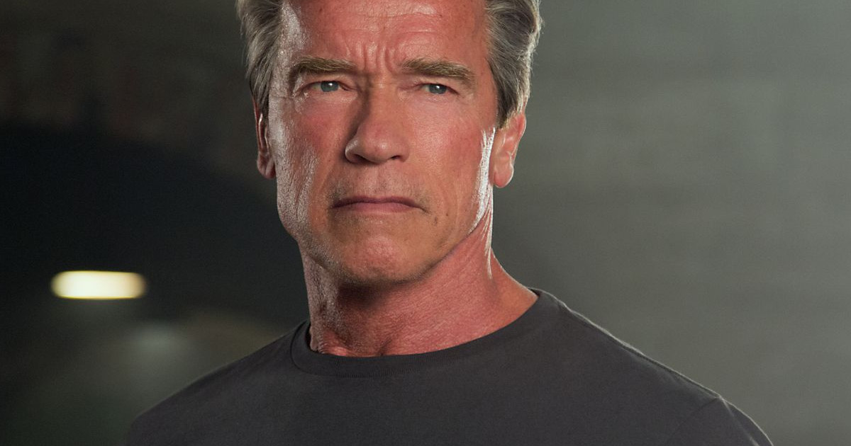 Arnold Schwarzenegger Attacked By Crazed Fan In South Africa