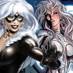 silver-sable-black-cat-not-happening