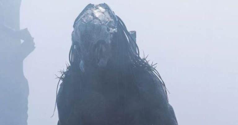 new-look-predator-prey