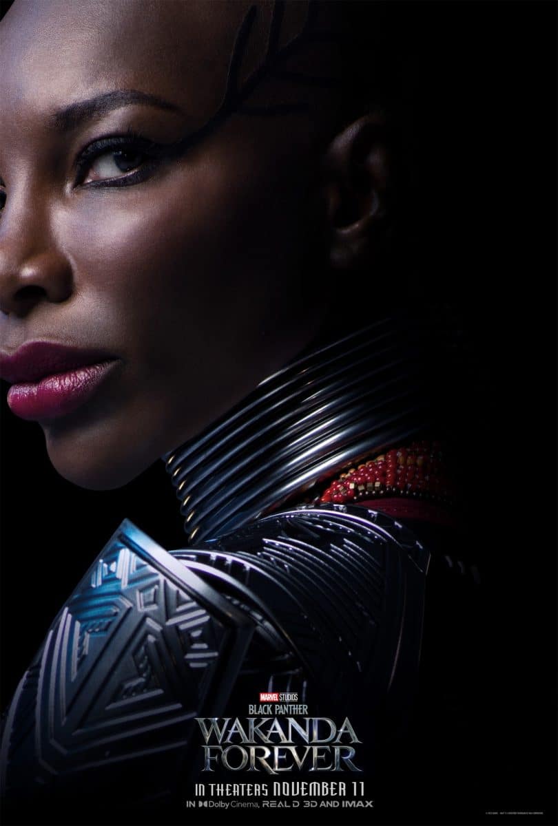 Black Panther Wakanda Forever poster