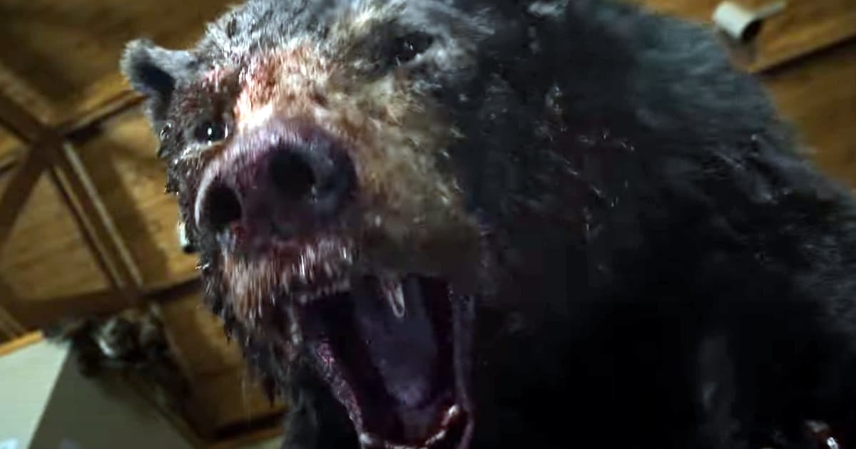 ‘Cocaine Bear’ Trailer Goes Higher Baby