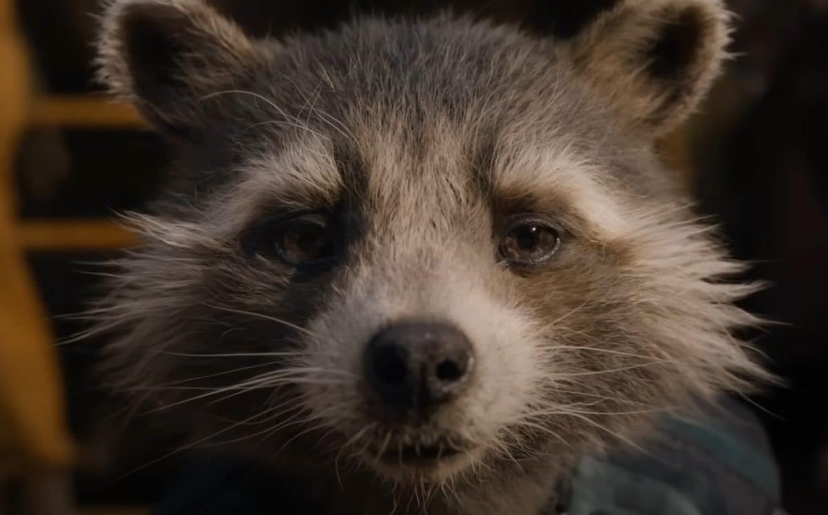 Guardians of the Galaxy 3 Rocket Raccoon