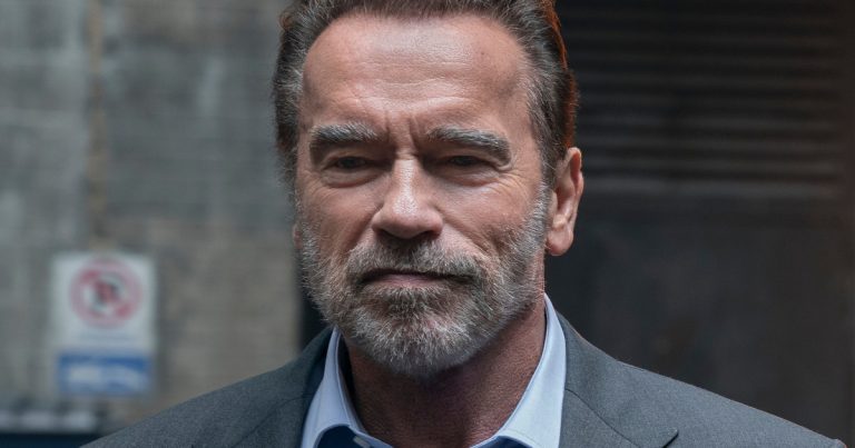Arnold Schwarzenegger Is Back Baby In Netflix's 'FUBAR' | Cosmic Book News