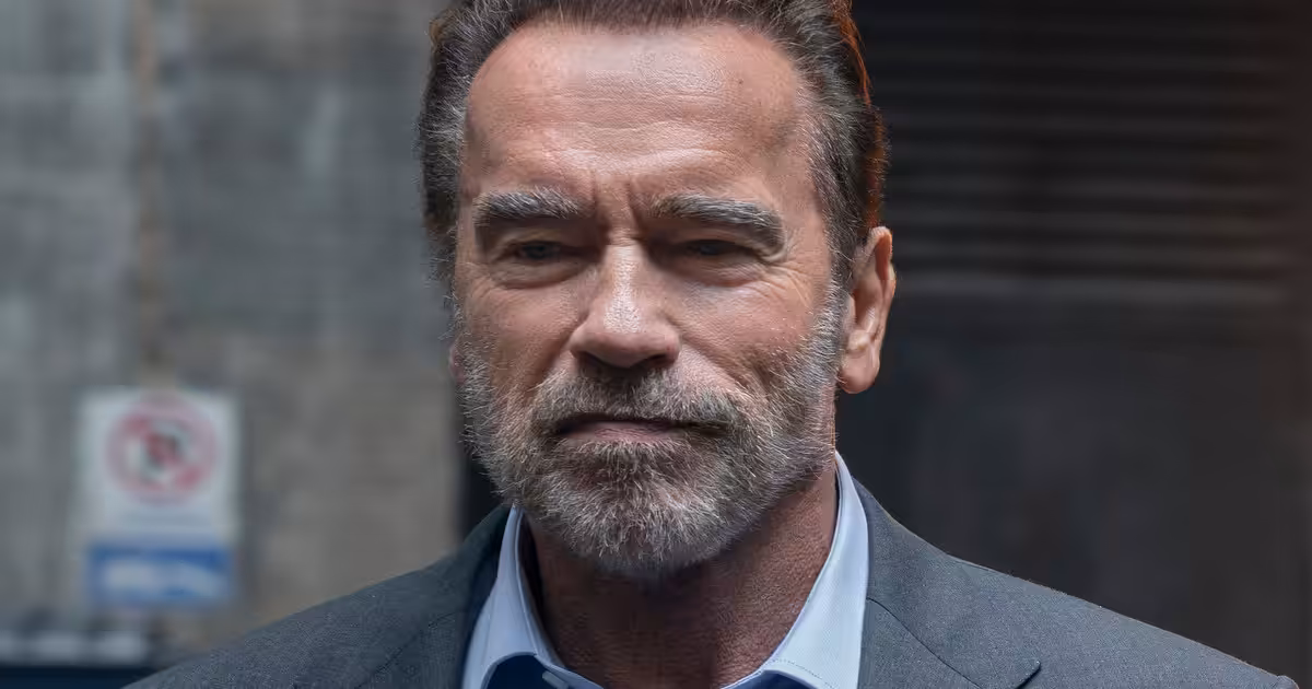 Arnold Schwarzenegger Is Back Baby In Netflix’s ‘FUBAR’