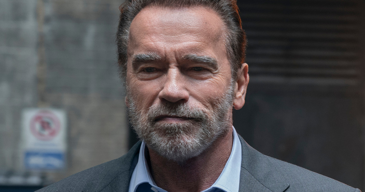 Arnold Schwarzenegger Is Back Baby In Netflix's 'FUBAR'