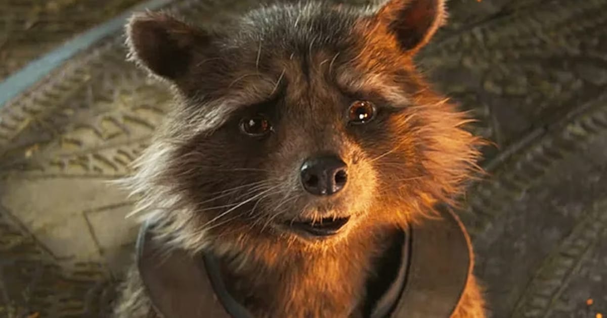 Guardian of the Galaxy 3 Synopsis Teases Rocket Raccoon Dies