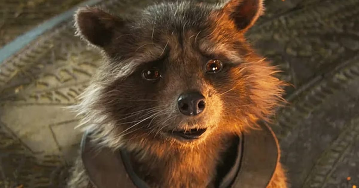 Le jardin de Phobos [Rocket] Guardians-galaxy-3-synopsis-teases-rocket-raccoon-dies