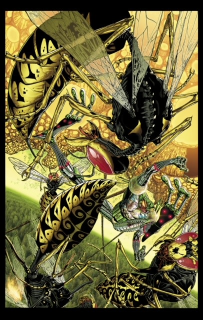 cyberfrog 3 11