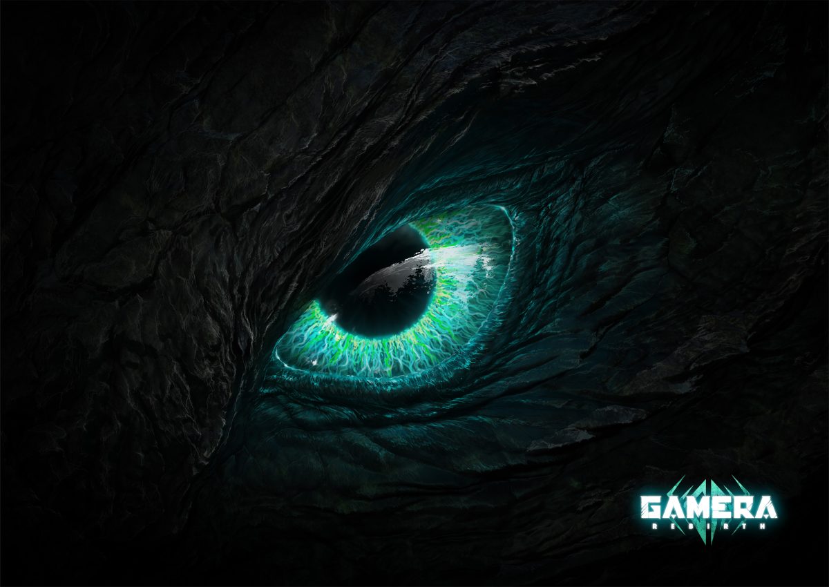gamera eye web center eye