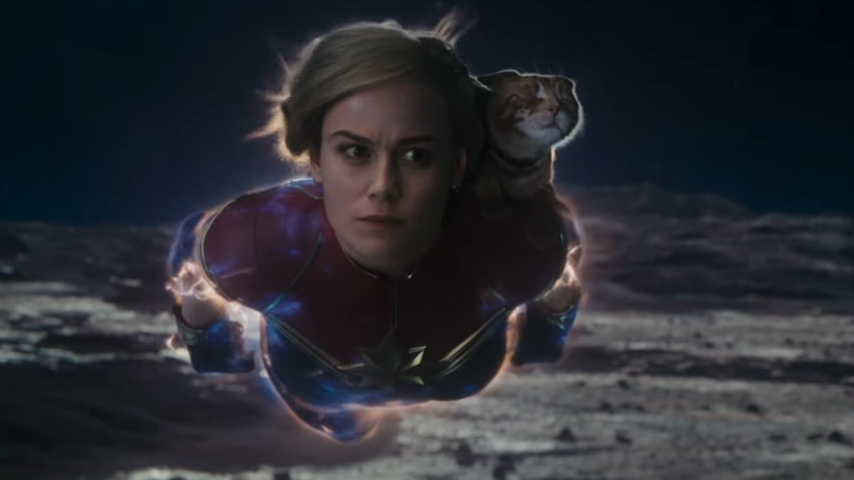 The Marvels: Brie Larson Flies With Goose In New Footage