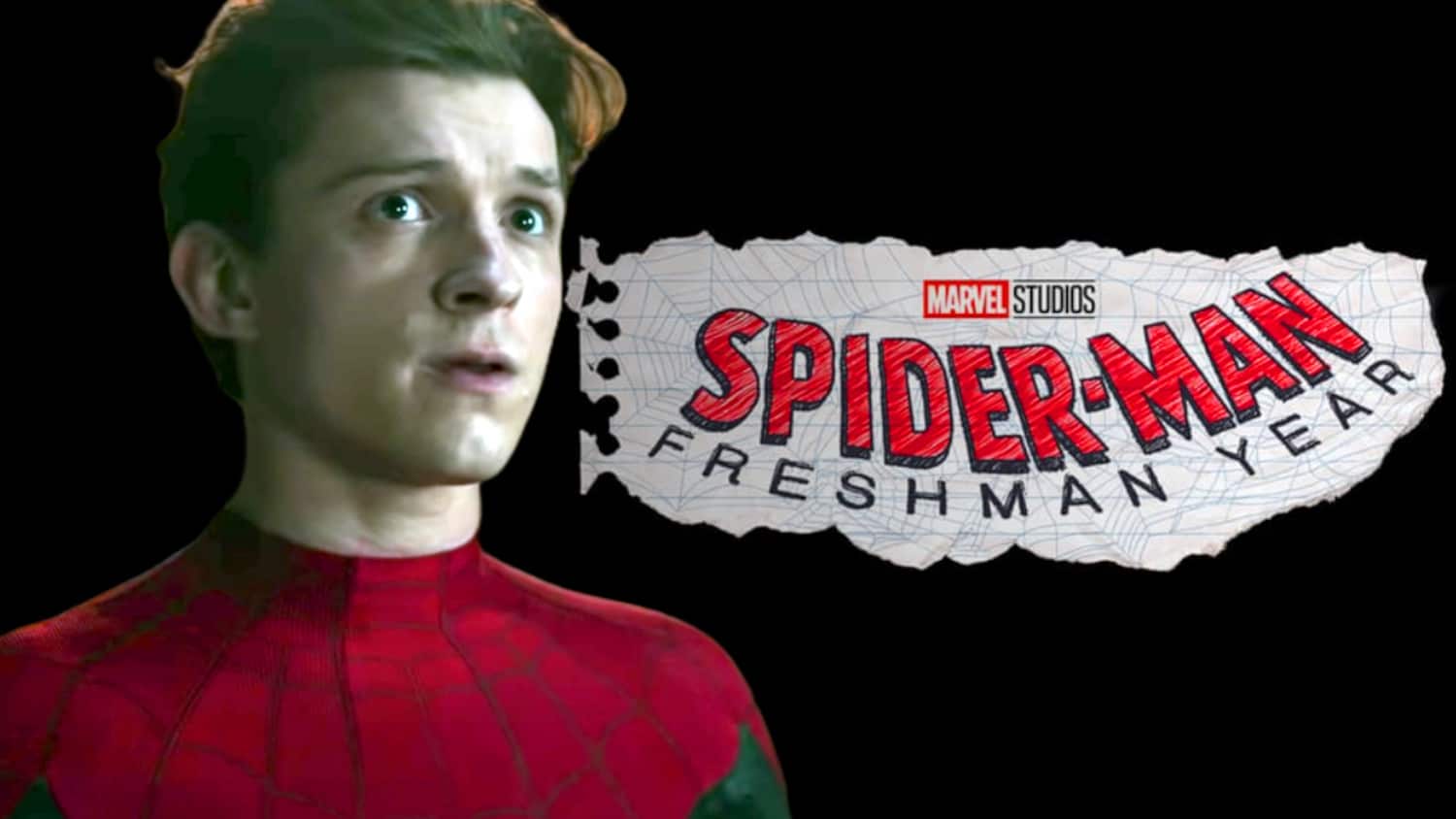 No Tom Holland For Spider-Man: Freshman Year