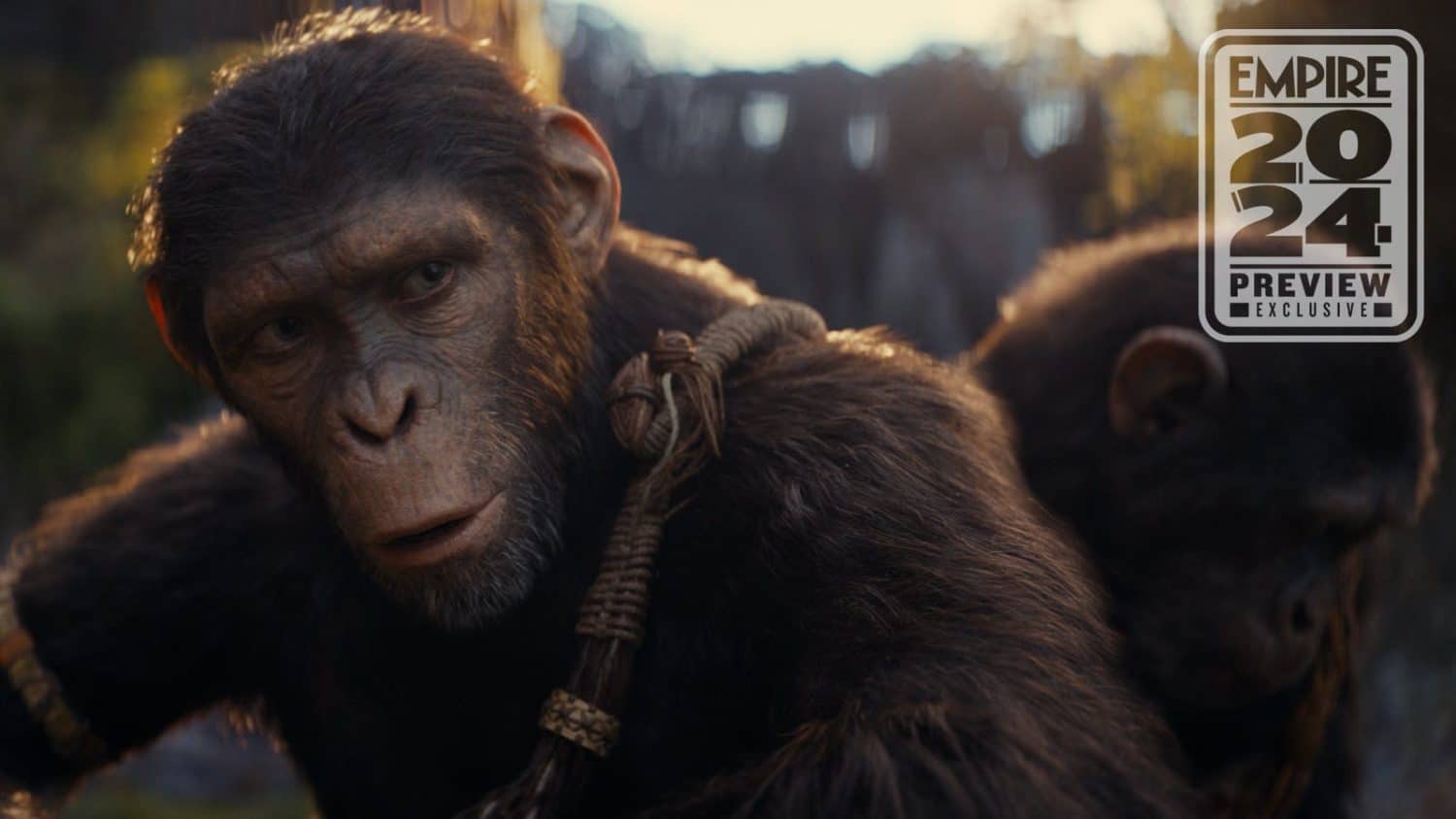 kingdom planet apes new