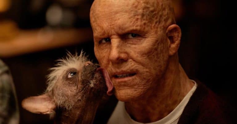 Deadpool 3: First Look At Ryan Reynolds as Wade Wilson