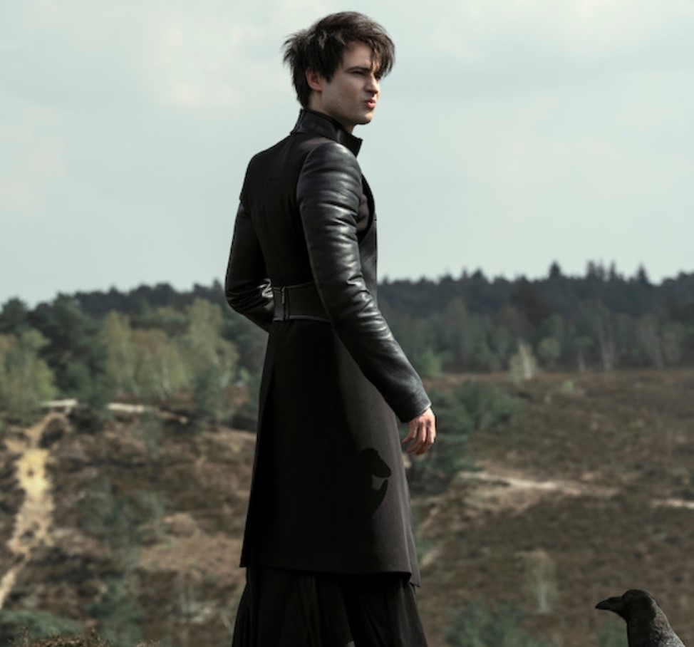 netflix sandman netflix sandman
