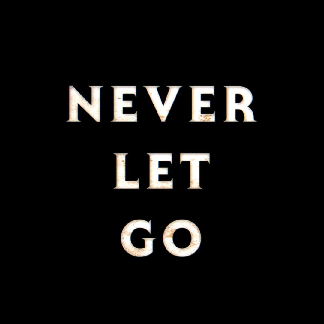 never let go poster
