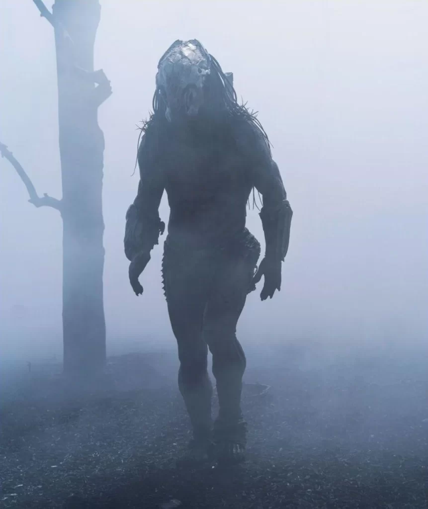 predator prey image