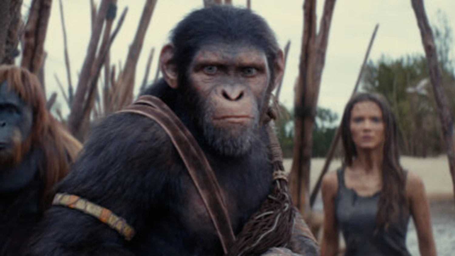 Wes Ball’s Kingdom of the Planet of the Apes Trilogy Moving Forward