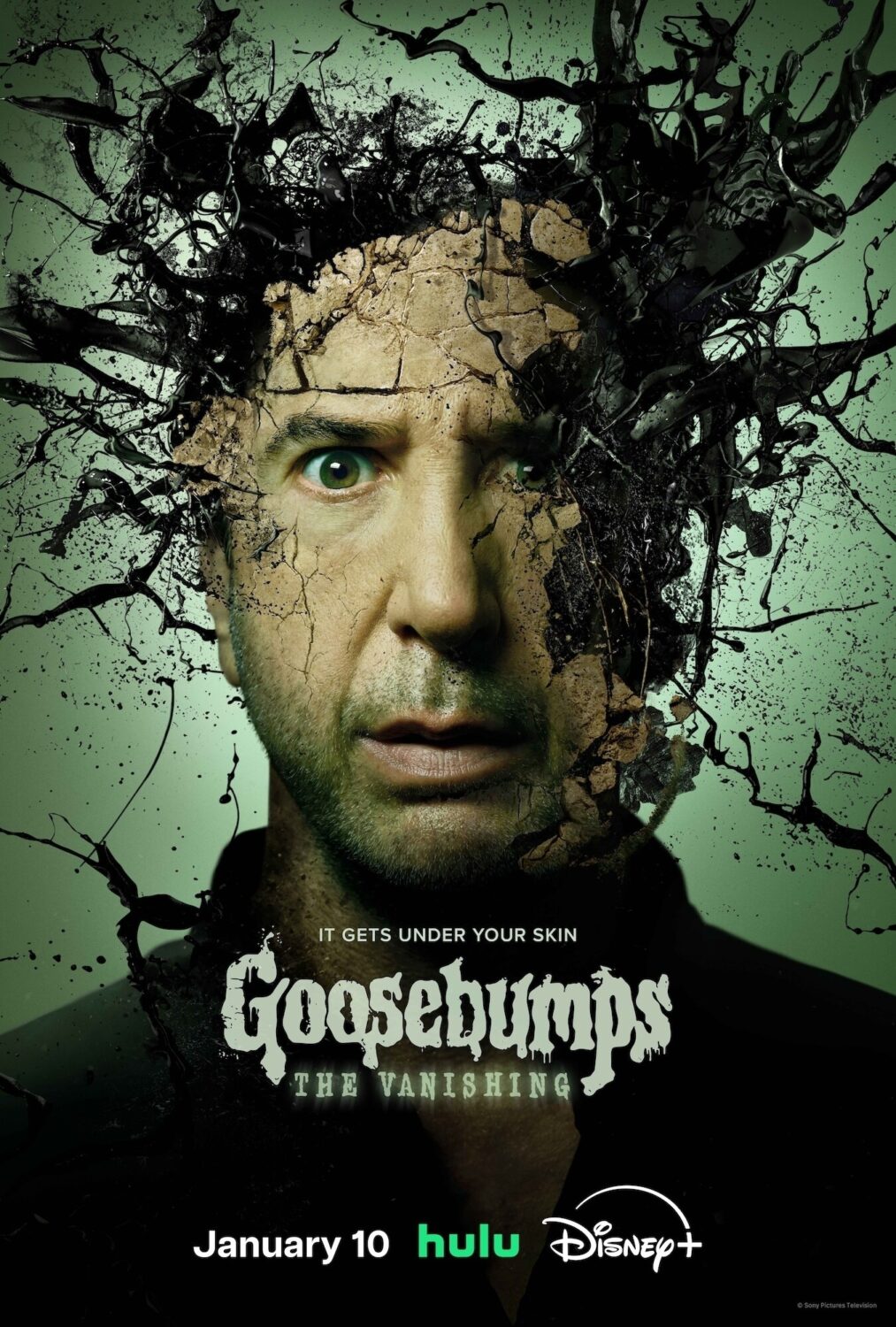 goosebumps the vanishing