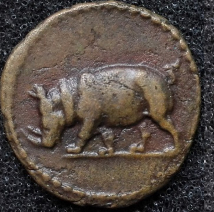 roman rhino coin