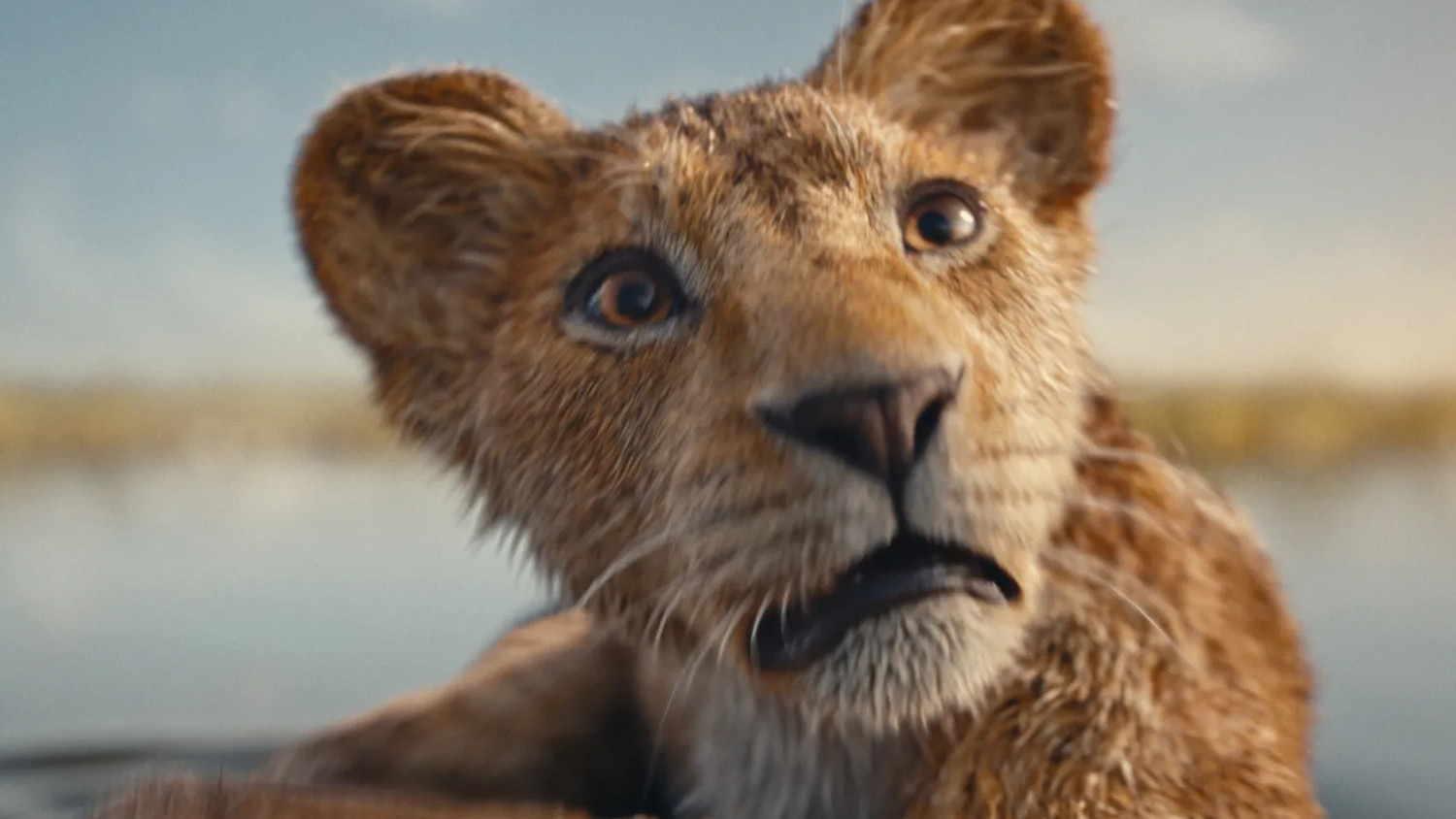 disney mufasa lion king trailer youtube dislikes 1